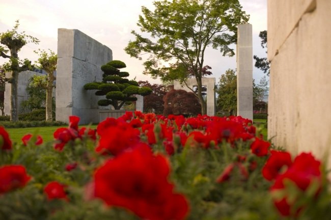 Druh stromu Flower Park Švajčiarsko Flowers Park Švajčiarsko pamiatky