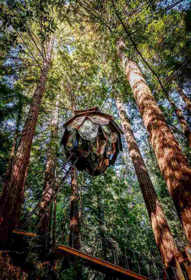 stromový dom z dreva, oceľ, sklo, šišky, tvar, 360 stupňový pohľad, lesná strecha, rebrík, promenáda