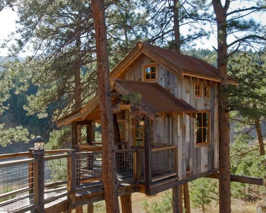 Postavte detský domček na chodúľoch v záhrade - vyberte vhodný strom z dreva