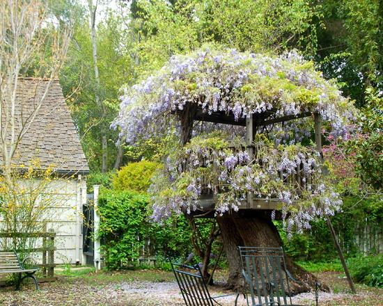 Záhradná kôlňa, stavba domčeka na strome, zaručená zábava pre deti