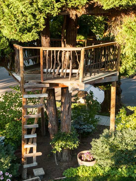 Postavte dom na strome-nápady na vybavenie detského ihriska-vonku pre deti