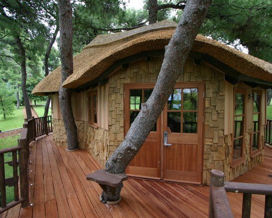 vhodné dreviny pre domček na strome-ihrisko pre deti nápady