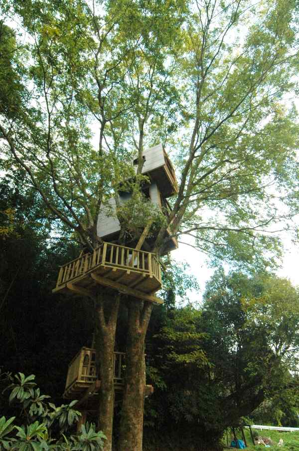 Architektúra stromového domu Kagošimský dom