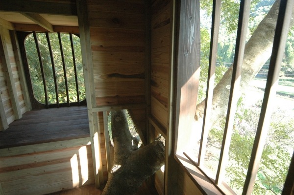 Stavba domu na strome v lese neďaleko Kagošimy