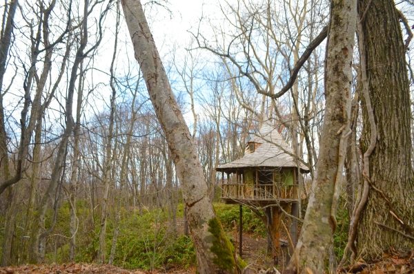Dom v lese stajňa Hokkaido japonská architektúra udržateľná
