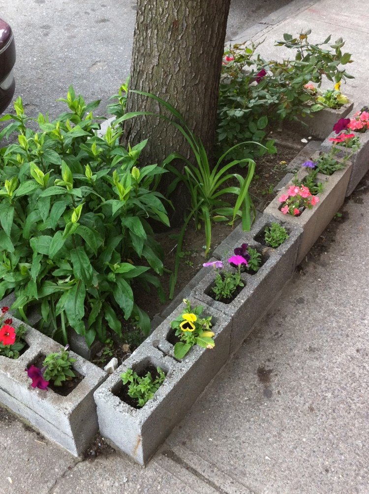 Pouličné stromy sadia nápady tehlami