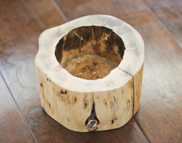 Kvetináč na kmeň stromu Vyrežte kmeň stromu v kvetináči