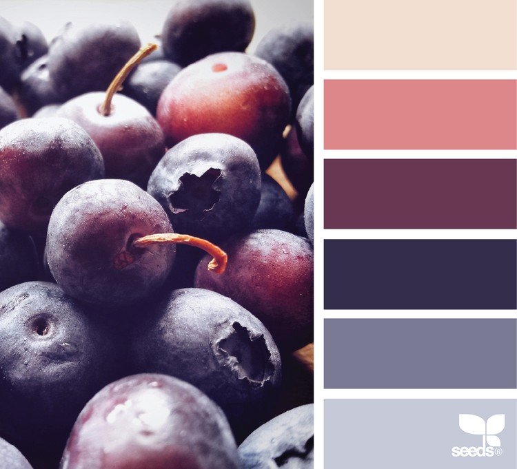 farebná paleta tmavých bobuľových tónov farebná kombinácia