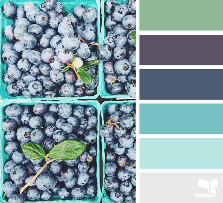 tmavé bobuľové tóny kombinujú farebnú paletu čučoriedok