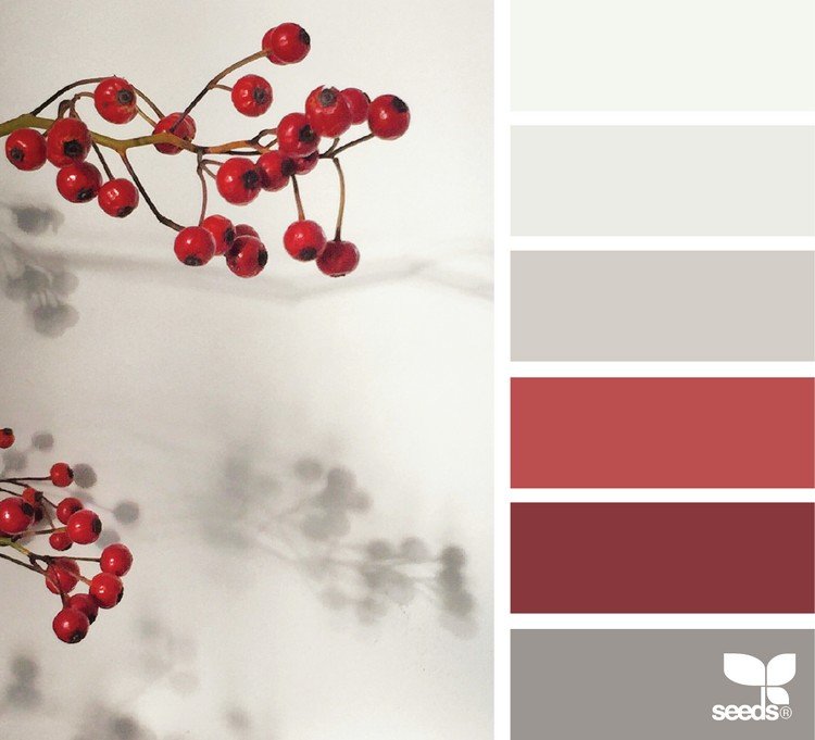 zimný typ bobuľové tóny farebné kombinácie biela sivá