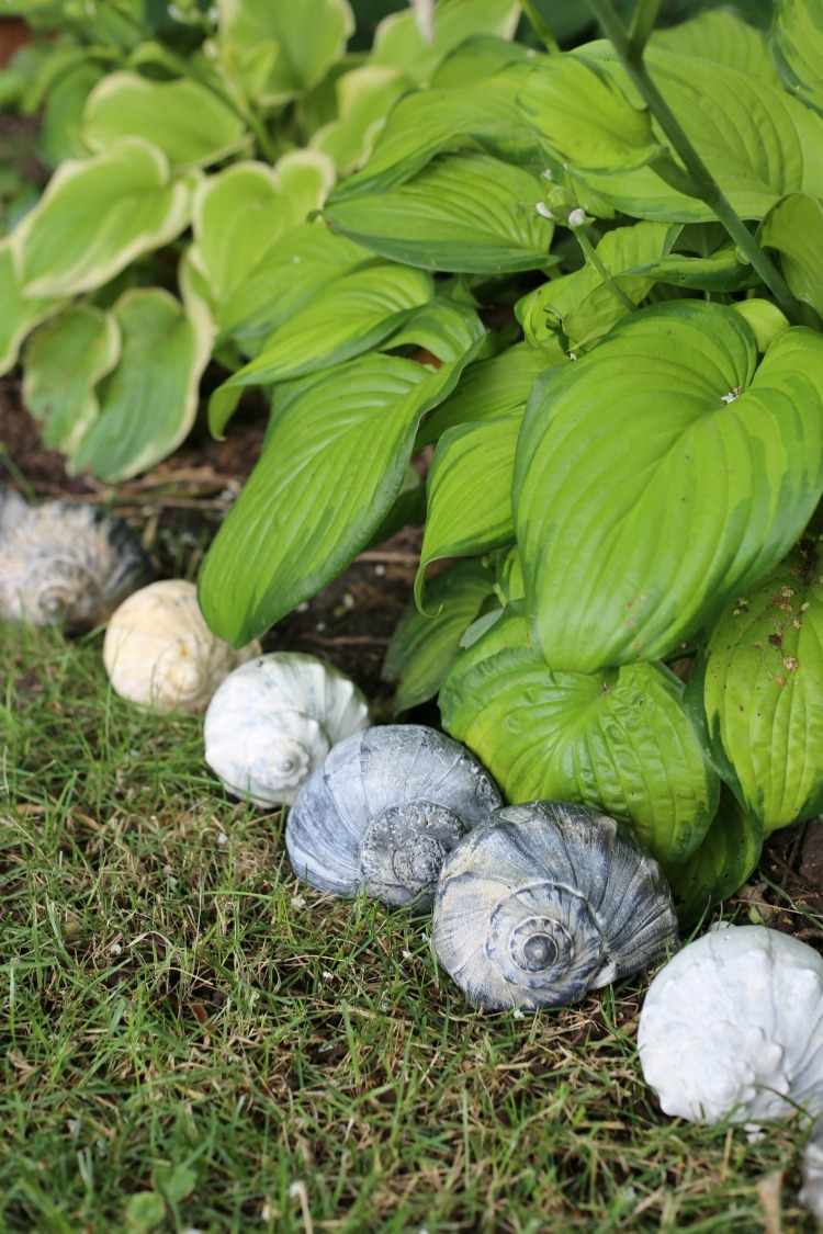 Škrupiny vyrobené z morských slimákov slúžia ako záhradný okrajový záhon rastlín