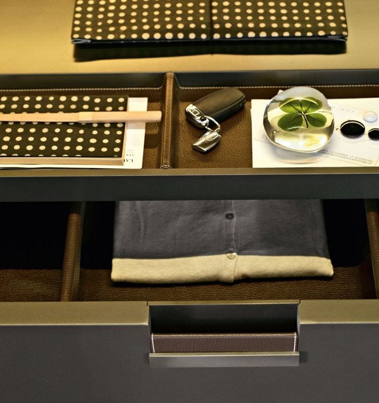 Používajte iba vysokokvalitné materiály s dokonalým dotykom šatník-šatník-systém-moderné-úložné-priestor-priehradky-zásuvky-potiahnuté kožou