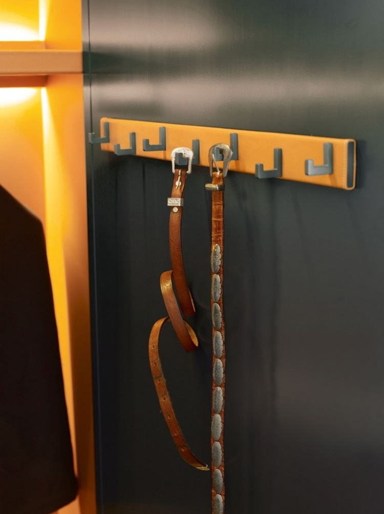 malé háčiky na uloženie opaskov a šatiek walk-in-šatník-systém-moderný-háčik-nerez-žltá-guerel-praktický