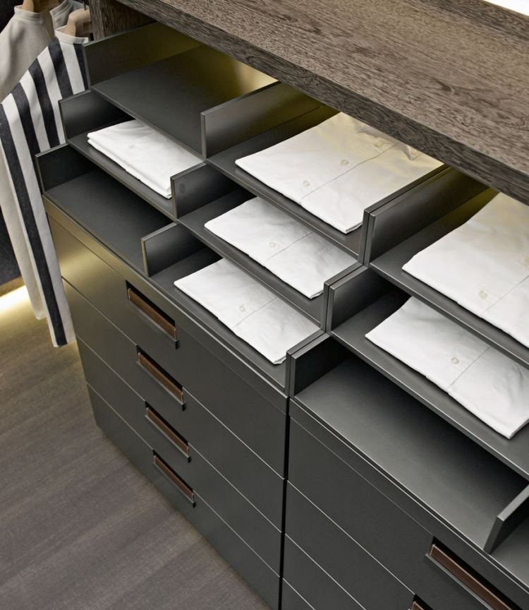 niekoľko zásuviek a špeciálne priehradky na košele systém šatníkových skríň-moderné-zásuvky-priehradky-nepriame-osvetlenie-funkčné