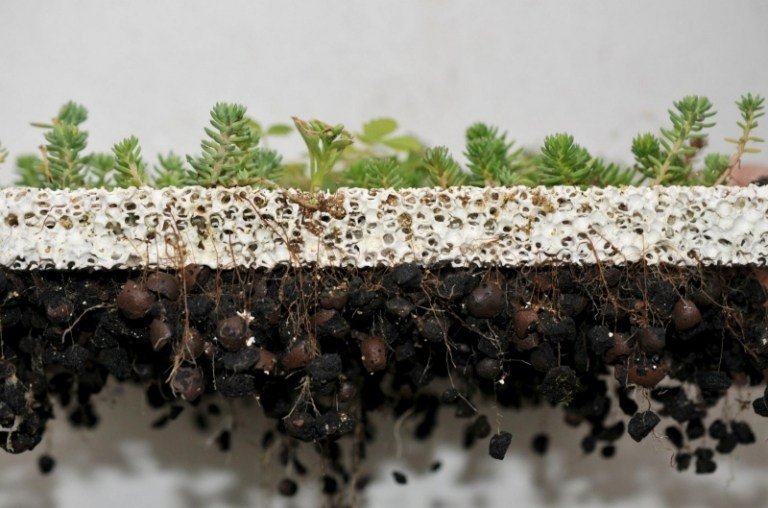 vysadený-fasádny systém-skyflor-pórovitý-keramický-vrstva-korene-získať-substrát