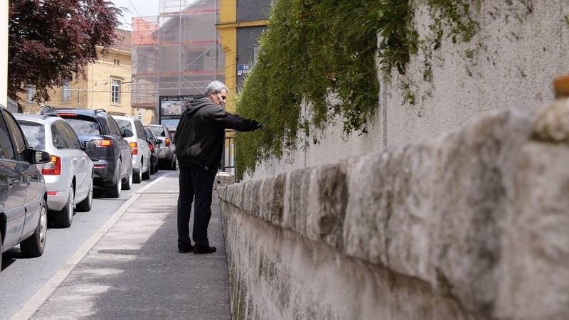 protihluková stena-greened-system-skyflor