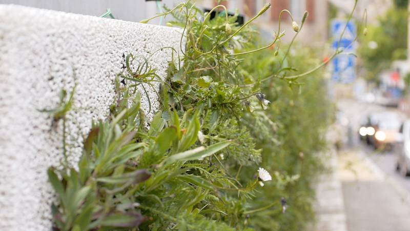 zelená-fasádny systém-skyflor-modulárna konštrukcia