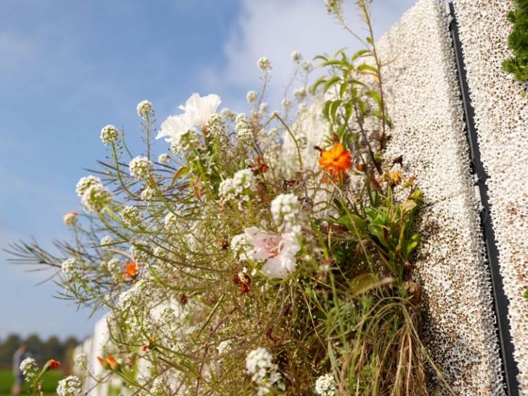 zelený-fasádny systém-skyflor-creabeton