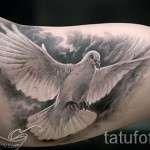 fehér galamb tetoválása 1