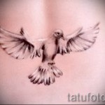 fehér galamb tetoválása 2