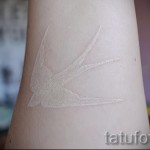 Fehér tetoválás - gyönyörű változat, fecskével