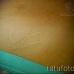 fehér tetoválás a gyomron - fotó a kész rajz egyik változatával a 29032016 -ból 2