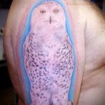 fehér bagoly tetoválás - fotó a kész rajz egyik változatával a 29032016 -ból 1