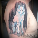 tetoválás fehér farkas - fotó a kész rajz egyik változatával a 29032016 -ból 1