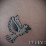 tetoválás fehér galamb - fotó a kész rajz egyik változatával a 29032016 -ból 4