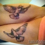 tetoválás fehér galamb - fotó a kész rajz egyik változatával a 29032016 -ból 6