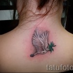 tetoválás fehér galamb - fotó a kész rajz egyik változatával a 29032016 -ból 8