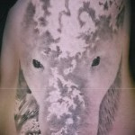 jegesmedve tetoválás - fotó a kész rajz egyik változatával a 29032016 -ból 1