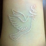 fehér toll tetoválás - fotó a kész rajz egyik változatával a 29032016 -ból 4