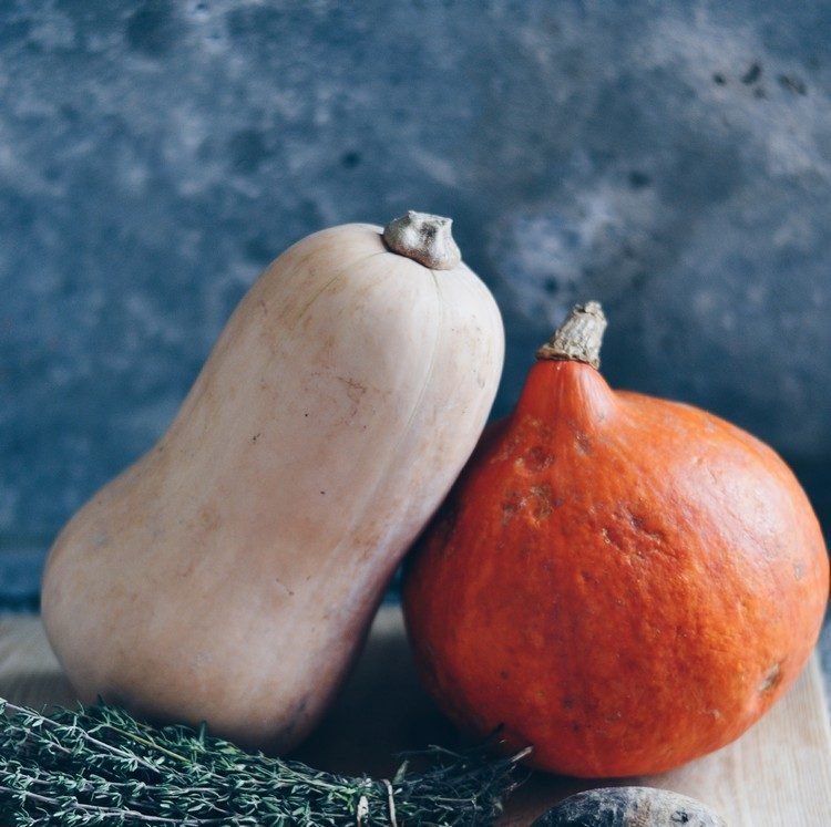 Tekvicové recepty obľúbené-tekvicové odrody-jedlé-hokkaido-maslové-rozdiely