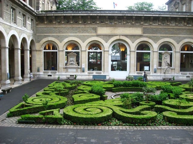 živé ploty vo francúzskom záhradnom štýle