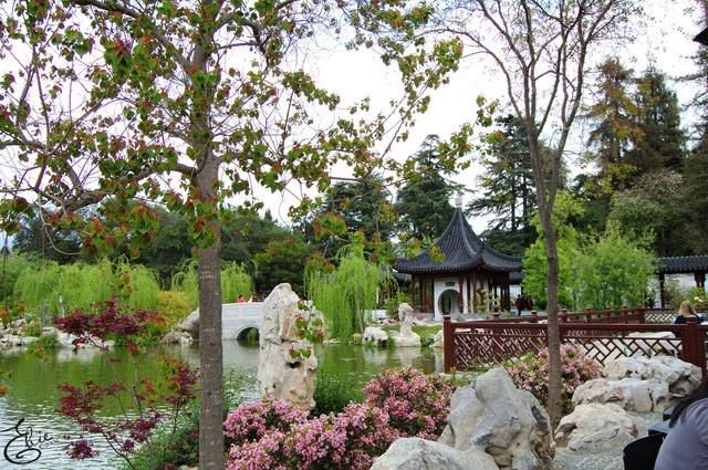 čínska záhrada rôznych záhradných štýlov
