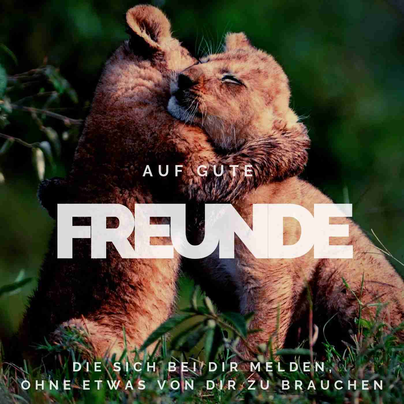 Rozprávky pre najlepších priateľov obrázky zvierat roztomilé