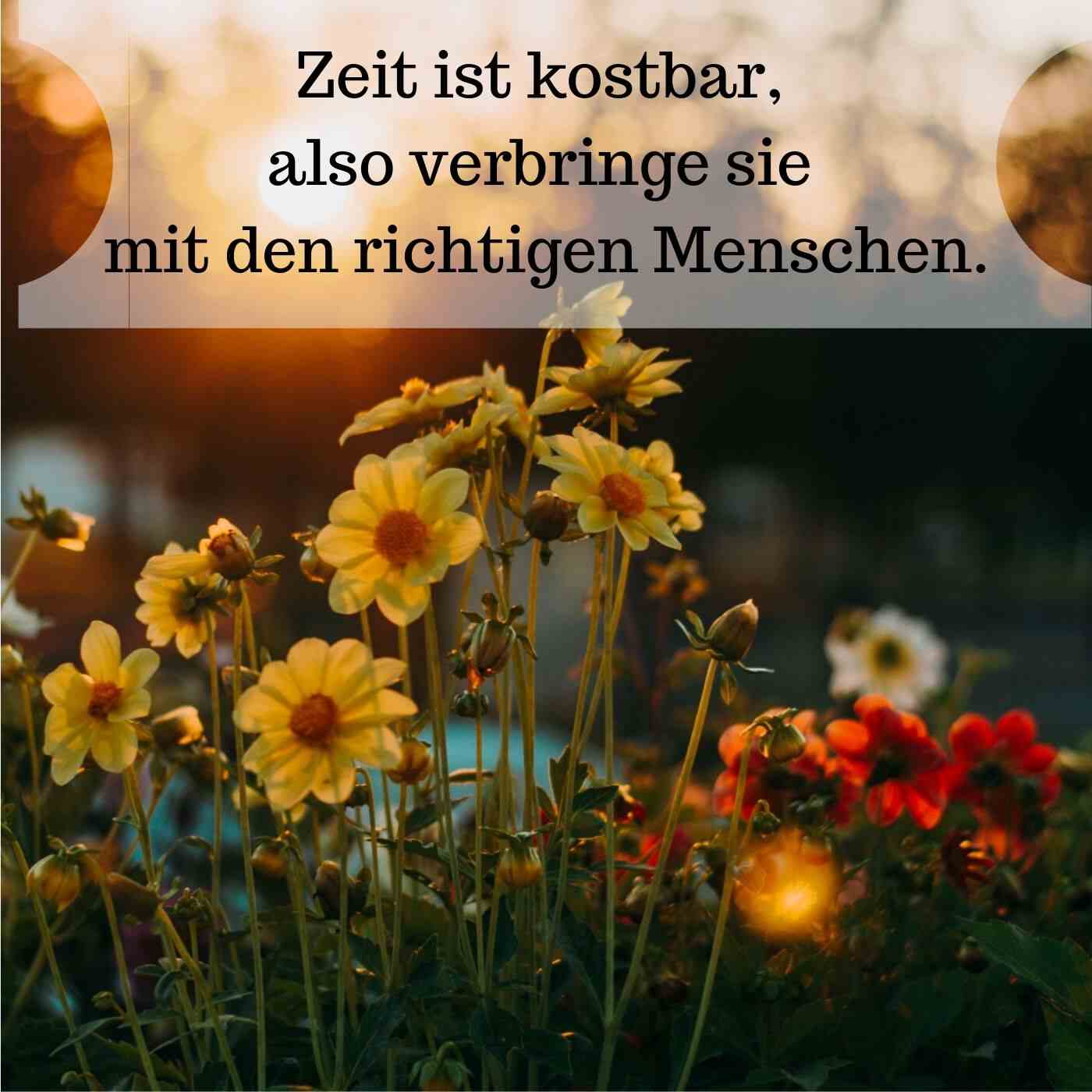 Obrázky najlepších priateľov hovoria, že WhatsApp prekvapí prekvapenie