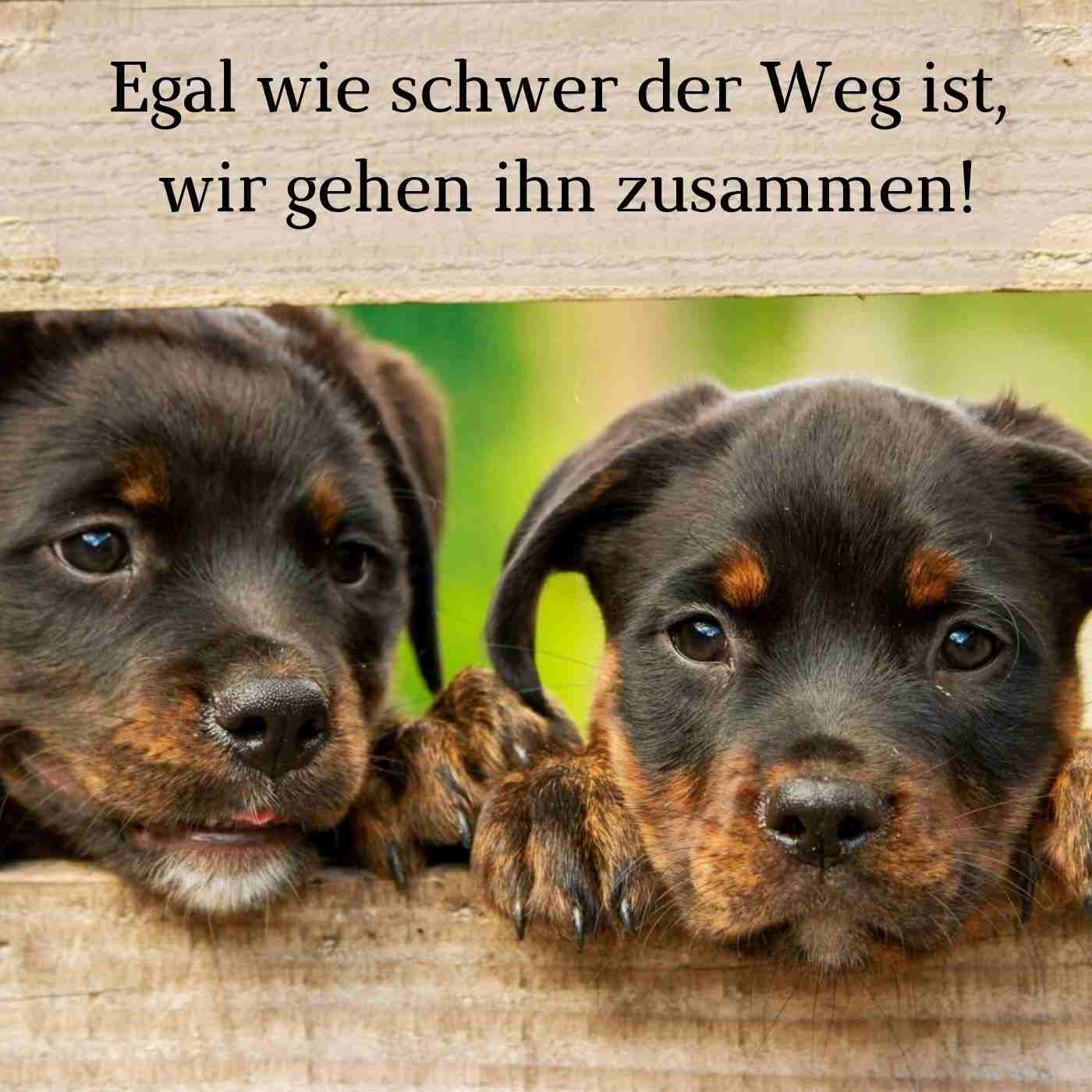 Hovorenie najlepších priateľov krátke sladké