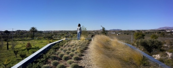 Rozsiahly dom so zelenou strechou moderný pohľadový betón