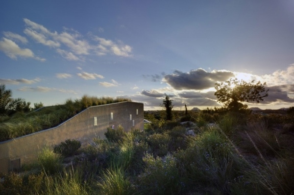 Vidiecky dom moderná betónovo-zelená strecha