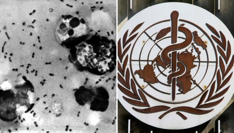 Svetová zdravotnícka organizácia, démonický mor, je dnes jasná, žiadna pandémia