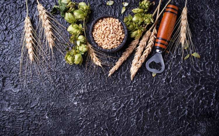 Ingrediencie potrebné na výrobu piva, ako je chmeľový extrakt z obilného sladu