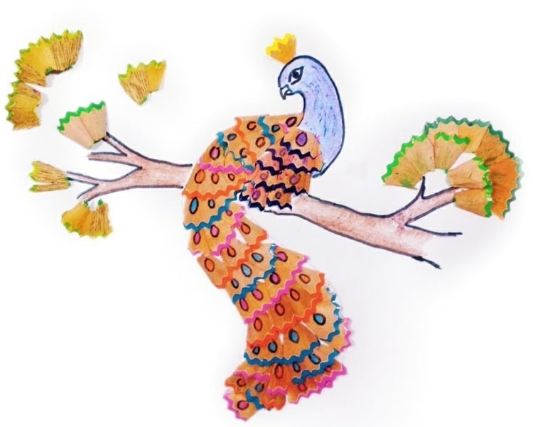 Krásny páv na konári s viacfarebným chvostom