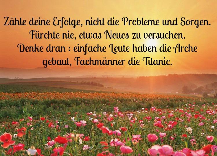 Porekadlá na rozveselenie obrázky-škola-porážka-ludtig-cool