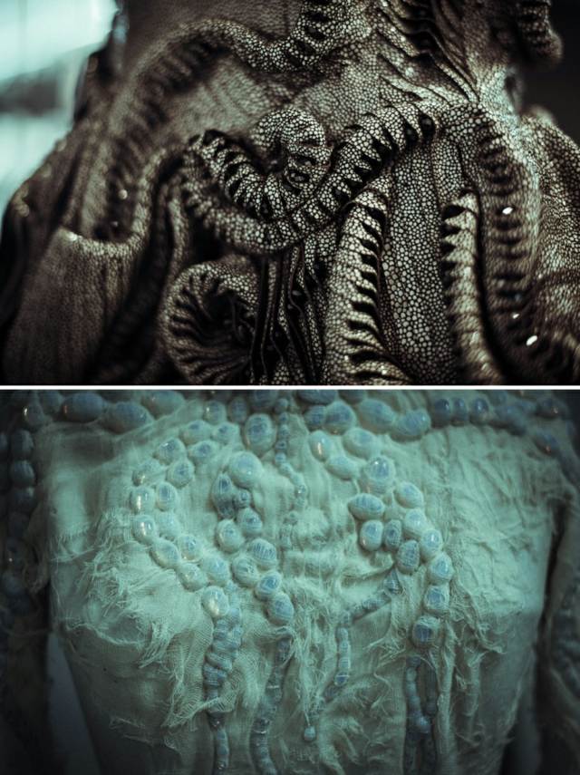 kolekciu tkanín a detailov od Iris van Herpen Biopiracy-von-Iris-van-Herpen