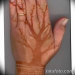 снимка на био татуировка от 09.06.2018 №236 - био татуировка -