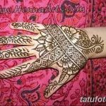 снимка на био татуировка от 09.06.2018 №197 - био татуировка -