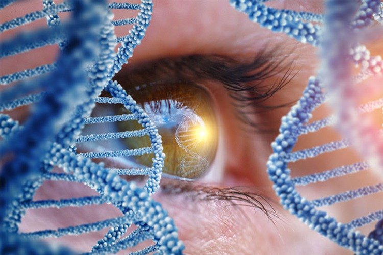 Odhadovateľ veku metylácie DNA nová štúdia dúfa vo vedu