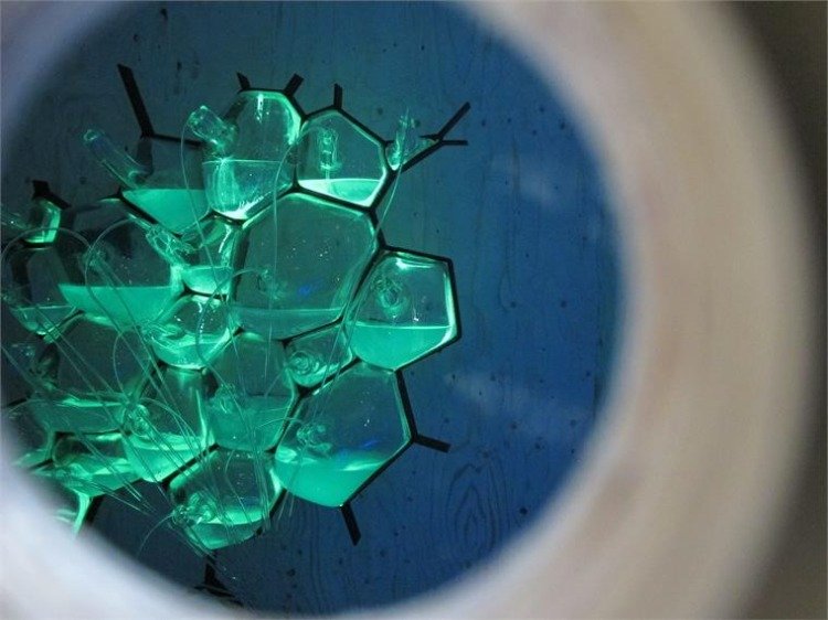 mikrobiálna výstava holandsko philips bio svetlo